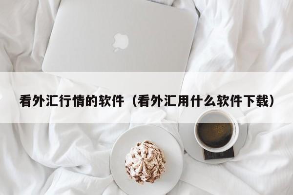 看外汇行情的软件（看外汇用什么软件下载）