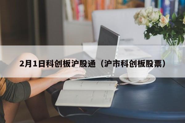 2月1日科创板沪股通（沪市科创板股票）