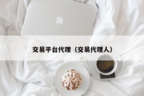 交易平台代理（交易代理人）