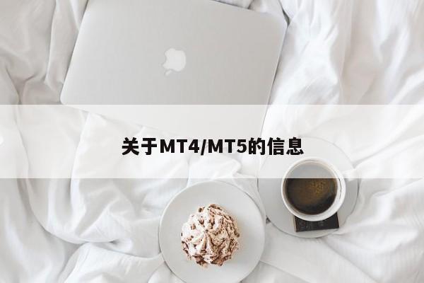 关于MT4/MT5的信息