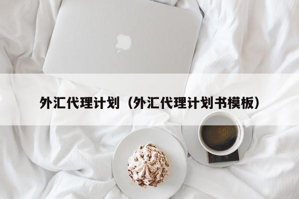 外汇代理计划（外汇代理计划书模板）
