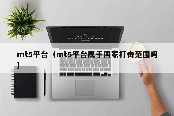 mt5平台（mt5平台属于国家打击范围吗）