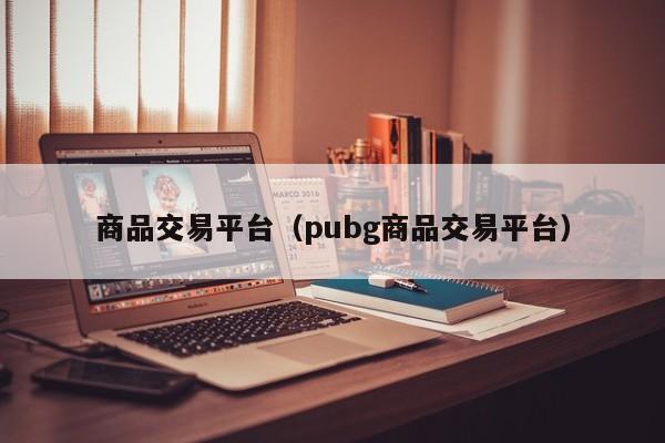 商品交易平台（pubg商品交易平台）