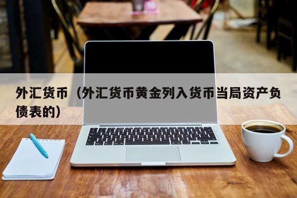外汇货币（外汇货币黄金列入货币当局资产负债表的）