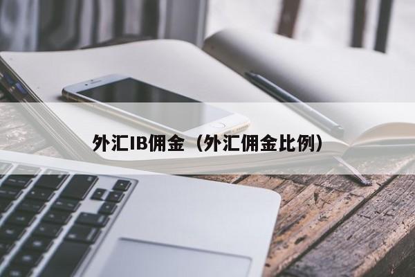 外汇IB佣金（外汇佣金比例）