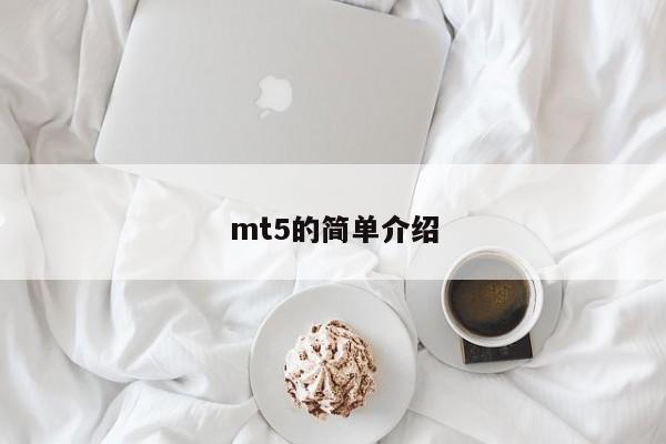 mt5的简单介绍